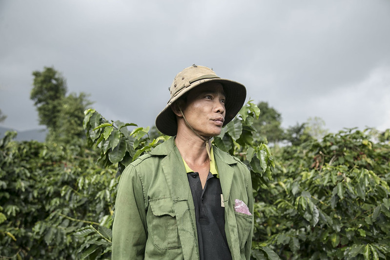 ngành cà phê tại Việt Nam